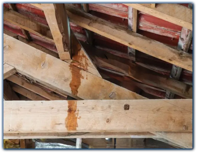 Fuite Toiture Infiltration d'Eau Couvreur Angoulême Charente Royan