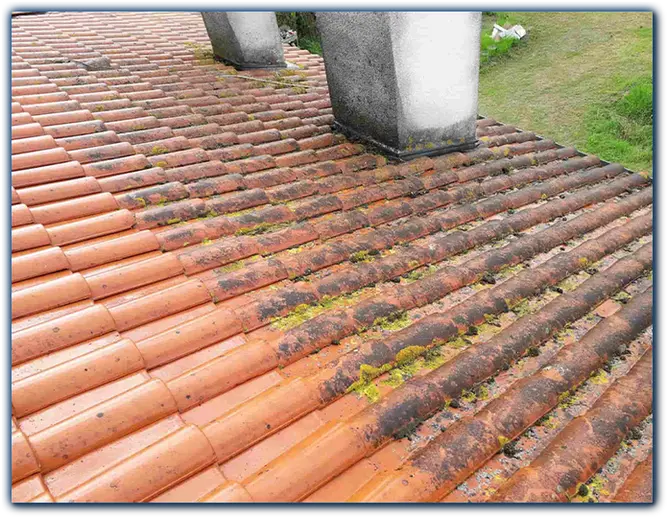 Nettoyage de toiture - acb couvreur